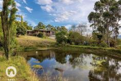  1864 Huon highway, grove tas CALMNESS UNREPEATED FOR SALE - $420,000+ If you are longing for a life of rural calm & a tranquil existence then this beautiful free flowing cottage style house is for you. With magnificent views of the iconic Mountain Sleeping Beauty from your warm and light lounge & dining or through the French doors of your elegant main bedroom room it is hard not to be whisked away to your happy place. There are rare places like this that just make you feel better when you enter them & this home has done that for the owners for 20 years now. The views aren't limited to this Mountain as in the foreground & within the boundaries of the 1.6 acres of well maintained gardens is your very own dam where the ducks happily exist & add to the beauty. Picture yourself sitting on the park bench whilst watching the children exploring with delight & collecting the eggs from your very own chickens. All of this is within an easy 25 minute commute to Hobart. The home has been lovingly restored, maintained & improved to what you see today. The main bedroom has a walk in robe and ensuite with access to a lovely deck through french doors; the 2nd & 3rd bedrooms are double in size with one of these having access to a private paved courtyard. There are 2 living areas to separate the family who can't decide on which channel they wish to view & all the areas have been freshly carpeted. The newly renovated kitchen is spacious & functional with Silas stone bench tops, an impressive & large Belling gas cook top/oven, large walk in pantry, glass splash back, and durable bamboo floating floor. This home has many surprises that have been cleverly added to benefit the function & feel. It has a sunroom currently being used as an art studio at the end of the wrap around undercover deck, surprise!! It has a fully self contained chalet that comes to you furnished & ready for friends, relatives or the teenager who wants to retreat, surprise!! It is heated by a clever wood fired ducted heating system that is kept under the home and is sure to impress the energy conscious & frugal buyer, surprise!! It has a 2 car garage & workshop for the handyman of the family to have their space, surprise!! If that wasn't enough it has a field of Ixia flowers that pop up to reveal a garden of beauty and colour every September, surprise!! There are more fruit trees than I can mention & a large vegetable patch that offers self sufficiency. But it is definitely best that you see this rural delight that is unrepeated to this extreme anywhere else in this area. PROPERTY OVERVIEWProperty ID:3P1647Property Type:HouseLand Size:6084m² approx.Building Size:166m²Garage:2Car Space:4 