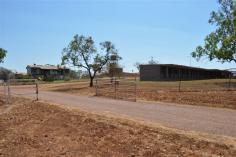 1435 Ringwood Road, Tortilla Flats NTpprox 2,000 acres on Tortilla Flats Station Known as the Old Tortilla Flats Research Station. A great opportunity exists to resurrect the solid infrastructure set out on this great parcel of land in Tortilla Flats. Offering 2 Elevated dwellings, a huge work shed, a secure chemical storage shed, 3 phase power, workman quarters, cattle yard and so much more.  There is approximately 803.3 Hectares of land used for grazing cattle & hay production. Irrigated land area is approx 203 Hectares. 2 bore's.  Bitumen road for all year access from the Stuart highway Property distance from: Darwin: 96.1km (1 hour & 17mins) Palmerston: 75.9km (1 hour) Batchelor: 22.3km (25 mins) Adelaide River: 18km (14mins) For a personal viewing or further information feel free to contact me Rayna Kirikino on 0400 456 484 any time. 