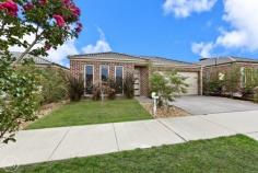 DOREEN
8 Gillow Grove
A Perfect Place To Call Home

This low maintenance home, enjoying a peaceful position within the Vaucluse Rise Estate, close to schools, the bus, eateries and takeaways, along with all the parks, playgrounds and waterways the area is renowned for, delivers family friendly surrounds for the first home buyer, astute investor or those looking to downsize and enjoy stress free, single level living. A gallery hallway introduces main bedroom with walk in robe and ensuite bathroom before it opens to a spacious casual living precinct that uses carpet and timber flooring to define lounging and eating spaces, while delivering plenty of open space for the family to enjoy. Anchored by a kitchen showcasing stainless steel appliances, it opens to a large alfresco in the rear yard to deliver options for seamless indoor-outdoor entertainment. Double garage with rear roller door for trailer parking, ducted heating, refrigerated cooling, easy care gardens...it's all here and it's all ready for you! 

Features Include
Features: 	 Built In Robes, Ducted Heating, Remote Garage & Split System AirCon.