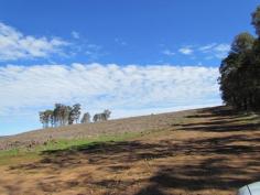  Lot 107 - Attractive 106 acres (43.27 hectares) bare land with regrowth tree plantation. A creek line and power runs through the property.  The adjoining three lots are also for sale with the total land area 454 acres or 183.7 ha currently on 4 titles with the option of a 5th title subject to subdivision approval.  - Lot 107 106 acres 43.27ha $619,146 -Lot 149 52 acres 21.34ha $450,000 -Lot 100 195 acres 80.2289ha $1,472,000 -Lot 2698100 acres 40.52ha $584,000 Magnificent elevated quality farms. One with large spring fed dam, good weatherboard cottage and sheds. A1 horticultural loam soils, shiraz vineyard, grazing sheep, but suitable for horses, cattle etc. Timber plantation. Three of the titles are leased with attractive returns.  The Seller may offer terms and seeks prospective purchasers to make offers upon inspection by appointment.  Information Memorandum available on request.   