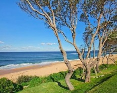 Embracing a coveted absolute beachfront position this architect designed tri-level residence offers a rare opportunity for exclusive family living with an uninterrupted ocean backdrop. It provides an outstanding lifestyle just 10 minutes’ drive to Terrigal.
Six year old home with suspended slab concrete construction
Designed to capture spectacular views from every angle
Sophisticated setting with premium finishes and fixtures
Sleek neutral décor ensures the view remains centre stage
Open plan living and dining areas flow to beach view decks
Palatial master with vaulted ceiling and full spa ensuite
Underfloor heating, travertine tiles, CBUS wiring, in-ceiling speakers
Lower level kitchen creates potential guest accommodation
Exclusive address with expansive level lawn flowing to beach
