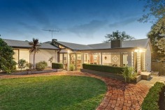 Beautifully maintained, this impeccable 4 bedroom home features quality living at its best. Boasting a modern and refreshed interior, inviting family room, renovated kitchen with stainless steel appliances and huge pantry, an impressive lounge/dining overlooking the tranquil garden surrounds. The open plan flow is further enhanced by the angled roof line, rake ceilings & painted wood panelling. Most of all you’ll love entertaining in the stunning alfresco dining area, complete with Merbau decking, plantation shutters, bench seating/storage and even an open fire place. This home is perfect for a family with a fabulous rear yard, new fencing, cute garden shed/workshop and cubby house for the kids. Open the back farm gates and step through to Norwood Reserve right on your back door step. Other features include gas ducted heating, air-conditioning, polished floor boards, ceiling fans, loads of storage and plenty of off street parking. All this just a 15 minute walk to Eastland and Ringwood Station, close to good schools, parks, public transport and Eastlink.