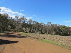  Lot 107 - Attractive 106 acres (43.27 hectares) bare land with regrowth tree plantation. A creek line and power runs through the property.  The adjoining three lots are also for sale with the total land area 454 acres or 183.7 ha currently on 4 titles with the option of a 5th title subject to subdivision approval.  - Lot 107 106 acres 43.27ha $619,146 -Lot 149 52 acres 21.34ha $450,000 -Lot 100 195 acres 80.2289ha $1,472,000 -Lot 2698100 acres 40.52ha $584,000 Magnificent elevated quality farms. One with large spring fed dam, good weatherboard cottage and sheds. A1 horticultural loam soils, shiraz vineyard, grazing sheep, but suitable for horses, cattle etc. Timber plantation. Three of the titles are leased with attractive returns.  The Seller may offer terms and seeks prospective purchasers to make offers upon inspection by appointment.  Information Memorandum available on request.   