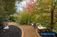  3 Silverthorn Way, BOTANIC RIDGE, VIC When quality matters look no further than this beautiful home in a great location opposite the park set on 1,000sqm block  - Features 4 large bedrooms , master with full ensuite , spa, and walk in robe - Stylish open plan kitchen with Caesar stone benches and island bar overlooking a sun filled dinning & family area - 4 separate living areas with ducted heating and refrigerated air conditioning through out. - Large professionally land scaped outdoor entertaining area with in ground solar heated pool and spa frames this quality executive family home This home has room for your family cars, golf buggy ,and boat as well a good work shop . Donâ€™t delay call for your private inspection today. Features In-ground pool   Property Details Bedrooms4Bathrooms2Garages3 