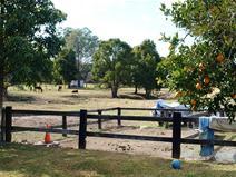 17 Batar Creek Rd Kendall NSW 2439 ONE OF A KIND $375,000 Situated
 right next door to the Kendall showground, and only a couple of minutes
 walk to the village shops, is this delightful 1.07ha (2.5ac) property. 
The home consists of three bedrooms, two living areas and two and a half
 bathrooms. The original country styling is just delightful. Loads of 
shedding and stables for the horses. Perfect location and property for 
the horse enthusiast.  Property Type House Property ID 11090109286 Street Address 17 Batar Creek Road Suburb Kendall Postcode 2439 Price $375,000 Land Area 1.07 ha Air Conditioning Fire Place 