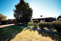 16 Robinson Ave Dubbo NSW 2830 Low Maintenance Investment or Ideal Starter! An
 excellent low maintenance investment property or a great start to home 
ownership – both investors and home occupiers will see the benefits of 
this well maintained home. Providing comfortable and secure 
living, the focal point of this home is the family room extension with a
 wall of windows which allow the natural light to stream through and 
offering a scenic backdrop to the manicured rear lawn, gardens & 
parkland. 16 Robinson Avenue is ideally located having a public 
recreation area at the back door as well as being only a short drive to 
Orana Mall Marketplace, BlueRidge Business Park, schools, childcare 
centre and neighbourhood shops. Well presented and ready to sell. An inspection is a must! Note:
 The first open for inspection is scheduled for Saturday 23 August from 
10.00 to 10.30am and there will be no inspections prior. Features: * Three bedrooms with built-ins * Tidy kitchen with meals area & breakfast bar * Formal lounge with new carpet * Huge, sundrenched tiled family room extension * Curtains and blinds throughout * Laundry with direct access to yard * Full bathroom with separate toilet located off the laundry * Ducted evaporative air conditioning * Natural gas points with one Rinnai graduate heater * Solar panels x 6, Sunna 2000lt solar inverter * Natural gas 360lt hot water system * Double length carport, one car space behind lockable gates * Single garage/workshop with workbench plus 15amp outlet * Low maintenance front yard providing privacy * Private courtyard with built-in bbq * Ceiling & wall insulation * Security grills on front and side windows * Paved driveway * Brick veneer construction with colorbond roof re-sprayed in 2011 * Rear overlooking public parkland The
 information and figures contained in this material is supplied by the 
vendor and is unverified.Potential buyers should take all steps 
necessary to satisfy themselves regarding the information contained 
herein.