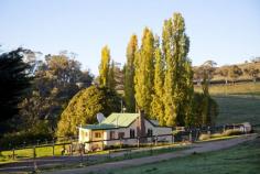 7223 The Snowy River Way Jindabyne NSW 2627     Located about 15 minutes drive south east of Jindabyne set on 3.2 Ha or 8 acres approx. in a private, rural setting surrounded by one of the districts most picturesque grazing properties, established orchard, mature Cypress pines and Poplars adding to the scenery     Built in the late 1800's and renovated/updated in recent times     Accommodation including master bedroom/parents retreat or spacious home office, 2 further bedrooms, family room with open fireplace plus slow combustion wood heater     Eat in kitchen including dishwasher and electric stove as well as old world wood fired stove     Bathroom, separate WC, laundry, back verandah, well fenced and landscaped yard including low maintenance garden     Other improvements include small workshop/garage, horse stables, horse round yard/training yard, fenced into two paddocks. Water supply via rain water harvesting and reliable spring (2 x 22,500 L water tanks)     Detached Dual occupancy possible under current LEP subject to approval from the relevant authorities of course Agents Comments: This property is perfectly located for easy access to mountain resorts and Jindabyne yet giving privacy seldom seen on small acreage. CONTACT:                              Nick Kirshner | 02 6456 6783 | nickkirshner.com.au AUCTION:                               Auction 2nd September 2014 | 6pm Registration for 6.30pm Start VENUE:                                  "Tuscany" 5474 The Snowy Way, Dalgety, 2628 INSPECT:                                By Appointment with Exclusive Agent Only