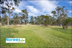  91-95 Torkington Rd Londonderry NSW 2753 ffering 4 generous bedrooms with built-ins 
-Massive master with modern ensuite 
-Modern polyurethane kitchen with induction cook top 
-Scratch proof timber floating floors 
-Air condition and a warm fire place for winter chill 
-Massive double auto door garage 9m x 10m 
-Separate storage shed (12m x 6m x 3.5m) with dual roller door 
Ideal For: Home owner, Investor, Hobby farm and Machinery storage 
Other Features: Gazebo BBQ area, Double door shed, 5000lt water tank, 
cubby house, Londonderry Pony Club 5km, Previously used for greyhound. 
Council Rate: Water Rate: $150pq + usage approx 
Land area: 51.46m x 196.6m = 10,117.036m2 (2.5 acre) 
Estimated Rental Return: approx $550-$580per week 