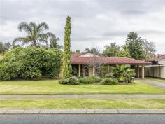  100 Barridale Drive Kingsley WA 6026 This 4 bedrooms or 3 big bedroom + study, two bathrooms home has the perfect layout. With two separate living areas, open plan kitchen, meals and family areas. A huge paved patio and grassed backyard. The home is close to primary school, parks and transport. Features include – • A large front separate lounge room. • The big functional kitchen overlooks the meals, large family room and out to the back yard and patio area. • The kitchen has a double sink, dishwasher, wall oven plus loads of bench and cupboard space.  • A big master bedroom with walk in robe and separate light/bright en-suite. • Separate study or fourth bedroom. • The other two large bedrooms are off a hallway and both have double door robes. • The second bathroom is light/bright with a separate shower + bath and vanity. • Separate wc to hallway. • The laundry is at the back of the home with access to the back yard. • The large patio area and back yard are accessed off the family / meals area. • The colour-bond large patio is pitched high for variety and style as you exit the home. There are loads of undercover paved areas. Perfect for entertaining. • The back garden is nice and flat and has a great sized lawn area – perfect for back yard cricket, lawn bowls, badminton or volleyball. There is also a huge shady Mango tree and large lemon tree. • The front garden is neat and tidy. The home is well set back off the road. • There is double undercover parking for up to four cars. With drive through access to the back yard. • The home has reverse cycle air-conditioning plus a wood fire heater centrally located in the family room. 