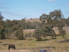  95 Condell Park WILTON, NSW 2571   If you are looking for a compact all round horse property this 14.48ha , offers everything you will need to get going. 4 stables 3 dams a tack room and feeding shed good arable land.  The home itself offers 3 bedrooms all with built-ins ensuite access to main, Lounge and dining with split air conditioner, well appointed kitchen tiled family room with ceiling fans. Double garage, ideal yard around the house for the kids.  Call today for your inspection  