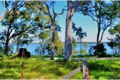  200 Buff Point Ave Buff Point NSW 2262 Such a commanding position opening onto prime waterfront reserve is this charming cottage. The property boasts 2 large bedrooms plus extra sunroom/study, neat kitchen with seperate lounge/living area plus original bathroom. Also includes rear garage with HUGE workshop for extra storage. Sorry no pets. 