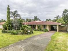  100 Barridale Drive Kingsley WA 6026 This 4 bedrooms or 3 big bedroom + study, two bathrooms home has the perfect layout. With two separate living areas, open plan kitchen, meals and family areas. A huge paved patio and grassed backyard. The home is close to primary school, parks and transport. Features include – • A large front separate lounge room. • The big functional kitchen overlooks the meals, large family room and out to the back yard and patio area. • The kitchen has a double sink, dishwasher, wall oven plus loads of bench and cupboard space.  • A big master bedroom with walk in robe and separate light/bright en-suite. • Separate study or fourth bedroom. • The other two large bedrooms are off a hallway and both have double door robes. • The second bathroom is light/bright with a separate shower + bath and vanity. • Separate wc to hallway. • The laundry is at the back of the home with access to the back yard. • The large patio area and back yard are accessed off the family / meals area. • The colour-bond large patio is pitched high for variety and style as you exit the home. There are loads of undercover paved areas. Perfect for entertaining. • The back garden is nice and flat and has a great sized lawn area – perfect for back yard cricket, lawn bowls, badminton or volleyball. There is also a huge shady Mango tree and large lemon tree. • The front garden is neat and tidy. The home is well set back off the road. • There is double undercover parking for up to four cars. With drive through access to the back yard. • The home has reverse cycle air-conditioning plus a wood fire heater centrally located in the family room. 