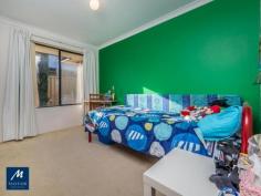  63 Wadhurst Road Butler WA 6036 If it's a large 3x2 your looking for then look no more. This superb Dale Alcock home is only minutes away from the Butler Cafe strip & a short walk to the future train station or if your the beachy type, then jump on your bike, you will be there in minutes. Features; Wood flooring throughout the main living Huge theatre room/4th bedroom Master with en-suite, bath & Shower, separate W.C. mirror sliding doors to B.I.R.  Two further double bedrooms with B.I.R. Kitchen/family/meals Kitchen breakfast bar, double fridge recess, dishwasher neg: Reverse cycle air-con Alarm system Family bathroom suite Solar roof panels Outside; Alfresco of kitchen Rear grassed garden with plants/trees Double remote garage Front garden raised with established plants & grassed lawn 