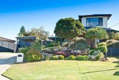 Harber Real Estate You will be wowed by the stunning views in this immaculately presented, 
well maintained family home. Located on one of the highest streets in 
Duncraig with views to Rottenest, the Indian ocean, city sky scrappers 
and the hills. Truly a rare find. Boasting 4 bedrooms, 2 bathrooms, 3 
living areas and a fabulous spacious back garden & entertaining 
area. 
 
The property is located in the Joondalup City Council R40 preposed 
rezoning area with block size of 688sqm. Conveniently located with 
Duncraig S.H.S at the end of the street and walking distance to Padbury 
Catholic primary, bus stop to take you to the Greenwood train station, 
Hillarys Marina just a few minutes away and surrounded by shops life 
will be a breeze. 
 
