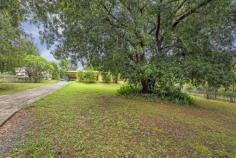  6 Hyde Street Fernmount Bellingen NSW 2454 Great First Home - Great Location - Great Opportunity! What a fantastic location to live, Fernmount with its lovely surrounding mountain views, trees and only minutes to beautiful Bellingen and 10 mins to the Beach. A very easy drive if you're working in Coffs Harbour.  Our owners have loved living in their home, but due to their age it's time to down size. This comfortable 3 bedroom home is perfectly positioned to gather the fabulous sea breezes that Fernmount is renowned for with its wonderful east facing aspect.  There is a covered patio area to relax after a day in your yard, light the BBQ, crack a stubby or a lovely bottle of wine might be more to your liking.  The large 1,704 m2 block provides the opportunity to be a bit self sufficient; plant your own veggies, fruit trees and an area for a chook pen.  For the handy man or just a man cave the old style shed will be a treat.  A must to inspect property at a bargain basement price, but be quick as this beautifully positioned home won't last! Comfortable 3 bedroom home Perfectly positioned to gather the fabulous sea breezes East facing aspect Covered patio area Large 1,704 m2 block Old style shed General Features Property Type: House Bedrooms: 3 Bathrooms: 1 Land Size: 1704 m² (approx) 