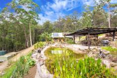 16 Byrne Road Bucketty NSW 2250 Bushland Dreaming! Set amidst a beautiful bushland setting looking down into a breathtaking valley with a scenic mountain backdrop beyond, this well built bush retreat would make the perfect weekender or permanent live in residence. The home has a very cosy feel and offers many unique features throughout. Lead light windows, cathedral ceilings and a 1.5kw solar system to name a few. Comprising 4 spacious bedrooms, loungeroom/living area with a warming slow combustion fire place, separate dining room, gourmet country style timber kitchen and a bush style bathroom with a cast iron claw foot bath. The home is quite spacious and is made up of downstairs living with a timber staircase leading the way up to an upstairs loft area where the master bedroom and 4th bedroom or optional office are located. A natural billabong style swimming pool is an eye catching focal point of the property. Set aside to an extensive timber pergola outdoor entertainment area which is surrounded by an amazing rock feature wall. Stunning water plants set the mood for this natural oasis and combine the great outdoors beautifully with the serenity of this awesome BBQ area. General Features Property Type: Lifestyle Bedrooms: 4 Bathrooms: 2 Land Size: 11.50ha (28.42 acres) (approx) Indoor Features Toilets: 2 Air Conditioning Outdoor Features Carport Spaces: 1 Swimming Pool - Inground 