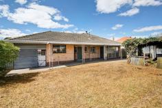  3 Lauder Ave Sefton Park SA 5083 Built in 1965, solid cream brick, tiled roof home in original 
condition. This home offers a fantastic opportunity to refurbish, 
modernise and further extend, but clean enough with a little T.L.C. to 
move in and live. Set on a large allotment, some 726 square metres (19.2
 x 37.84) with lots of potential. 
 Comprising of entrance hall, large living room, eat in 
kitchen/dining, three good sized bedrooms, bathroom & laundry, all 
in need of some attention. The Hills Hoist clothesline still erected in 
backyard. 
 The current owners have recently painted throughout and polished the floorboards, to give you a blank canvas to start. 
Not for the fainthearted, but a wonderful opportunity for owner occupiers or investors alike. 
 Note: Needs plumbing, some electrical, new kitchen & bathroom & gardening. 
 The big positive about this home is location, Sefton Park is a great 
small inner suburb, adjacent to Prospect, Broadview & Nailsworth 
within a few km’s of the city. In a house proud area, excellent 
shopping, public transport & schooling. 
 Check out a “House Rules” & or “Home Improvement” show on tv if you need that motivation. 
 The opportunity this home offers does not come along often. 
