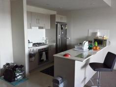 12/121-127 Railway Parade, Granville, NSW, 2142 This is a well presented 1-bedroom apartment, only 2-years old and located within minutes to schools, shops, restaurants and transportation. *Open plan lounge and dining *Internal Laundry *Built-in wardrobe *Air conditioner, dishwasher and dryer *Generous balcony space *Secured parking space and lock up storage