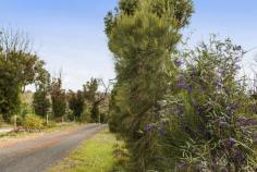  30 Thompson Crescent Lake Clifton WA 6215 THIS REALLY IS THE LIFESTYLE BLOCK YOU HAVE BEEN WAITING FOR... 
 
LOOK NO FURTHER THAN THIS LITTLE SLICE OF HEAVEN... 
 
Some of the many highlights include - 
 
# Situated on the highest part of the escarpment with glimpses of the estuary. 
# Currently 25% of the block is cleared. 
# Secluded level building envelope and 1000sq of cleared area near the top of the block. 
#Sealed road to the top of the block. 
# Rejuvenated growth after the fires in 2011. Native wildlife returned. 
# Situated 10 minutes from the freeway. 
# And all this just 5 short minutes from the beautiful Island Point Reserve and the pristine estuary. 
 
Enjoy the relaxed lifestyle, ride the horse trails, enjoy the boating 
and crabbing from the estuary. Leave the rat race behind and relax and 
enjoy your new lifestyle! 
 
Call Cassie (0404 592 991) today for more details. 