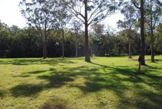305 Dath Henderson Road TINBEERWAH, QLD 4563 Circumstances Call for Immediate Sale. Make Me An Offer
			
					 - TINBEERWAH QLD Ideally
 located close to Noosa, Cooroy and Eumundi this 34 acre captivating 
block must be sold due to vendor circumstances. Situated at the end of a
 long 500 metre sealed driveway you will enjoy absolute peace and quiet 
in the heart of the Noosa Hinterland. Improvements to the block include a
 23m x12m Totalspan shed complete with steel framed internal wall 
partitions and ceilings, power connected to the power box at the front 
of the property and three-phase power cabling trenched and installed to 
the shed and single phase cabling trenched and installed to the power 
post for the house site, installation of Advanced Secondary Fuji Clean 
water treatment system, installation of septic holding tank plus pump 
well tank for shed use and connection from these tanks to Fuji system 
plus under slab plumbing from shed to septic holding tank, soil testing 
for proposed house site and dam site, poly pipe connection from on-site 
bore to shed, and much more. The land is a mixture of established 
timber, green open pasture and heavily timbered natural forest. This is 
an opportunity not to be missed, most of the work is done and all that’s
 left to do is build your dream home. Bookings by appointment Call 
anytime to arrange a viewing. Ref: 489 