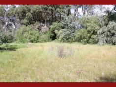 

 Parkerville 
 WA 
 6081 
 What a spot! Opposite the huge Railway and Florence Watson Reserves 
with walkways and a creek this conveniently shaped block is in a prime 
position and has a wide 31 metre frontage allowing for all sorts of 
different home designs to be built within. 

 Stretching to a depth of approximately 75 to 80 metres there is heaps
 of space to separately erect other buildings and have space to keep in 
it’s natural current state or develop with the gardens of your choice. 

 The community around is well established with already built homes on 
three sides, perfect for those wanting to settle into a neighbourhood of
 long standing locals and not have to endure the buzz of building works 
of new developments. 

 Incredibly close to the Jane Brook Walk Trail the property is only 
minutes’ walk to the heart of Parkerville, its local shops and local 
school further afield. Also within 5 minutes drive of the local hub of 
the Hills, Mundaring is a only short distance away. 

 This 2378sqm (over half and acre) blank canvas could be the ideal 
location for your awaiting Hills home so get a phone and call Tim 
Christie. 
 