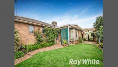 1/13 Tyrrell Ave Blackburn VIC 3130 AUCTION THIS SATURDAY - Elegant 3-bedroom Brick-veneer In a leafy, Blackburn suburb sits this classic 3-bedroom, brick-veneer home blessed with style, class and a variety of creature comforts. A spacious entrance for welcoming guests leads to a large, L-shaped formal lounge and dining surrounded by windows that look out onto the petit, front garden bordered by a cream, picket fence. Next, you'll find the neatly designed, open-plan kitchen and living with a walk-in-pantry, dishwasher and slider door leading to the backyard. A beautiful master with ensuite and walk-in-robe is matched by an additional two bedrooms, all with built-in-robes. Endowed with a second bathroom and separate toilet, laundry, ducted heating, evaporative cooling, ornamental light fittings, ADT alarm system, automated double-garage plus spacious driveway. And gardening will be a walk in the park as all grassed areas have sprinklers with timers. Speaking of walking, Blackburn station, shopping district and mall, Eastern freeway and schools are minutes away. Photo ID required at all open for inspections. 