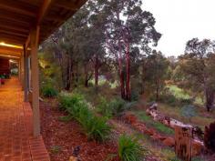 108 Chevin Road,	
	ROLEYSTONE WA 6111 OPPORTUNITY TOO GOOD TO MISS. Super value for 6.227 acres...Sitting 
proudly on one of Roleystone's unique hills prettiest natural bush land 
acreage properties. The home is deceivingly large and comprises four 
bedrooms, three bathrooms and study. A country charmer with its wrap 
around verandah and soaring raked ceilings. Several strategically 
located outdoor entertainment areas are perfect for those balmy nights 
and wonderful views. Adventure paradise for children to play. The property provides dual entrance the main entrance from Chevin and rear from Robinson Road. Enter
 through the main entrance at Chevin Road and the long driveway leads 
you to the luxury of this private gracious residence and tranquil 
lifestyle. Exuding wonderful family comfort boasting solid 
finishing's not found in the modern contemporary homes. A sanctuary 
from the busy working world. Room for multiple vehicles, truck, 
caravan, boat. Set amongst a natural bushland wonderland. The 
magnificent home boasts soaring raked timber lined ceilings, extensive 
feature brick and an ambience of country charm. Enchanting views from 
the Master bedroom and the Formal lounge room to the pretty natural 
garden, The fourth bedroom is a perfect teenager retreat/extended
 family room with its own bathroom and walk in robe. Classic open 
fireplace in the living room plus a slow combustion wood fireplace in 
the family room means you will never be cold and the property provides 
plenty of fire wood. 3 Sheds, 2 rainwater tanks, drinkable bore water, reticulated gardens and so much more. Only 5 minutes to Roleystone Hub, 15 minutes to Armadale Shopping, 38 minutes to the CBD. 