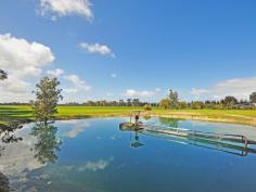  370 Hairpin road Jindong WA 6280 Country acreage and water close to town! What an astounding property to present to you as your new home. This approximately 58 acre lifestyle property really does have the best of both worlds, tranquility and country living with Busselton and Margaret River towns close by. - Large dam equipped with both a multi stage pump and pressure system. - 5 acres currently being under irrigation. - Two water tanks comprising 270 000 litres all your water needs are met.  - 18mtr by 9mtr farm shed has extra thick footings to handle the farm machinery. - All four bedrooms being double sized or larger  - Saxon solid fuel heater - Reverse cycle split system air conditioner - Bamboo flooring through the living areas and insulation.  - Outdoor decked alfresco area that looks out to your land. - Approx 5 Acres are Paddock, House, Yard - Currently tenanted where the least expires in June and is rented at $550 per week! This property has many more features to offer but needs to be seen for yourself, to arrange an inspection please contact Laura for an appointment, these properties in this location are rare! General Features Property Type: Acreage/Semi-Rural Bedrooms: 4 Bathrooms: 2 Outdoor Features Garage Spaces: 1 