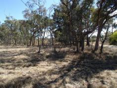  Ballandean Street Stanthorpe Qld 4380 VACANT RESIDENTIAL BLOCK, BIT BETTER THAN AN ACRE 
							Those searching the market for a spacious residential block to 
build their new home upon need to inspect this lovely parcel of land 
located in the quiet country region of Jennings, right on the border of 
Qld & NSW. The 4296m2 block has a lovely rural feel to it, is nice 
and level and is a blank canvass for the new owners to landscape to 
their heart's desire. Well priced with a owner motivated to sell, 
contact Scott Mann on 0427 814 444 or Simon Leigh on 0418 790 070 to 
make an appointment.