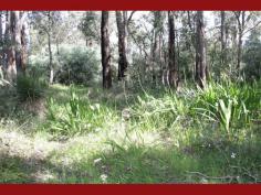 

 Parkerville 
 WA 
 6081 
 What a spot! Opposite the huge Railway and Florence Watson Reserves 
with walkways and a creek this conveniently shaped block is in a prime 
position and has a wide 31 metre frontage allowing for all sorts of 
different home designs to be built within. 

 Stretching to a depth of approximately 75 to 80 metres there is heaps
 of space to separately erect other buildings and have space to keep in 
it’s natural current state or develop with the gardens of your choice. 

 The community around is well established with already built homes on 
three sides, perfect for those wanting to settle into a neighbourhood of
 long standing locals and not have to endure the buzz of building works 
of new developments. 

 Incredibly close to the Jane Brook Walk Trail the property is only 
minutes’ walk to the heart of Parkerville, its local shops and local 
school further afield. Also within 5 minutes drive of the local hub of 
the Hills, Mundaring is a only short distance away. 

 This 2378sqm (over half and acre) blank canvas could be the ideal 
location for your awaiting Hills home so get a phone and call Tim 
Christie. 
 