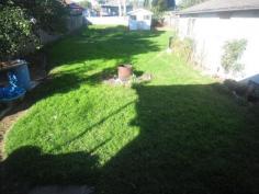  29 Meroo Street Blacktown NSW 2148 771m2 - Walk to station/Westpoint Dual Occupancy Potential Solid good size 3bdr (2 with mirrored B/I's) house with lock up garage set on a 771m2 rectangle block. Within minutes walk to Westpoint and Blacktown station, schools, church's, etc.  Features spacious living area with high ceilings together with air con. 3 Good size bedrooms, separate formal dining, timber kitchen with good bench and cupboard space. Whilst offering updated bathroom with separate toilet. Ideal for investor as ready to lease out immediately, will also suit owner occupier. Highly sought after location. Construct your dream house in popular location. Rectangular 771m2 block would suit Dual Occupancy Potential (subject to council approval) Great Investment opportunity. Popular Location..Be Quick! Property Code: 202 General Features Property Type: House Bedrooms: 3 Bathrooms: 1 Outdoor Features Carport Spaces: 1 Garage Spaces: 1 