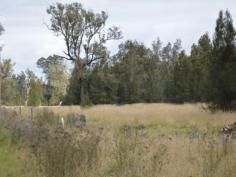  525 Gresford Road Singleton NSW 2330 Rural Living Close to Town 
 Located on Gresford Road 5km from Redbournberry Bridge this 12.5 
acre (approx) lot offers a rural lifestyle close to town. With fertile 
creek flats and large level building site allows plenty of room for many
 different pursuits. 
Fantastic rural living close to town. 
Agent declares interest. 
 
 