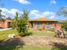  53 Yanchep Beach Road Yanchep WA 6035 BE QUICK WILL SELL FAST! Families will love this 809sqm prime coastal property including a beautifully presented 2 bedroom air-conditioned home that has been well maintained and Investors will want to secure this great property representing value at a bargain price for potential subdivision. With having the train station only 10 mins away at Butler ( opening Sept 2014 ), making commuting even easier now, you can arrive home to the Yanchep Lagoon so close you can hear the waves from the back yard, play a round of golf at a world class golf course or spend the day relaxing at the national park. All only minutes away. SUMMARY Easy walk to the beach Floor to ceiling windows Daikin Air-conditioning Kitchen with plenty cupboard space Second living area  Patio covered alfresco area Drive through access to garden shed and backyard Drive through carport with gate Bathroom with shower Massive backyard 5000L water tank Beautiful front and back yard with retic Established fruit trees LOCATION OVERVIEW Only meters to Wilkie park and playground  Short walk to schools, shops • General Features • Property Type:House General Features Property Type: House Bedrooms: 2 Bathrooms: 1 Land Size: 809 m² (approx) Indoor Features Toilets: 1 Air Conditioning Outdoor Features Garage Spaces: 2 Other Features Close to Schools,Close to Shops,Fireplace(s) 