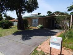  48 Olga Road Maddington WA 6109 Superb Location, set in the heart of the Maddington Town Centre Excellent opportunity for Investment Existing property available for Rent Potential to Modernise existing home Prime Property for sub-division Property comprises of 3 bedrooms 1 Shower room Formal Lounge Kitchen Meals Ducted airconditioning Carport Side Patio Access to rear Lock up garage Huge Storage Shed 