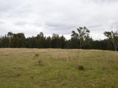  525 Gresford Road Singleton NSW 2330 Rural Living Close to Town 
 Located on Gresford Road 5km from Redbournberry Bridge this 12.5 
acre (approx) lot offers a rural lifestyle close to town. With fertile 
creek flats and large level building site allows plenty of room for many
 different pursuits. 
Fantastic rural living close to town. 
Agent declares interest. 
 
 
