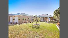 31 Mitchell Dr Leopold VIC 3224 Large Family Home (1164m2) Available for inspection by appointment this coming Saturday 25th October please call to book your attendance 0409 289 230. Positioned within an immaculate garden setting this four bedroom home would appeal to those looking for space and privacy while being close to schools shops and public transport. Featuring four bedrooms, two bathrooms and three separate living rooms. The kitchen is fully equipped with gas cook top, gas oven and dishwasher. The home has evaporative cooling ducted to every room and three gas rinnai space heaters to keep things comfortable all year round. The return bull nose veranda adds character and leads out to the covered alfresco and BBQ area. Other features include, large double garage with remote roller doors and extra lockup workshop, separate side access to rear of the property with second lock up colorbond garage and workshop, neat rear lawn area, fenced off veggie patch and 3 rain water tanks. This property is complimented by well established neighbouring quality homes and an appealing streetscape. Just minutes out of Geelong and many of the surf coast beaches and townships.