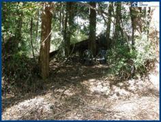  25 Banksia Rd Springbrook QLD 4213 This 708m2 block has a natural gently sloping contour and is in a very 
quiet area in the Springbrook National Park precinct where your visitors
 will be native paddy melons, parrots, kookaburras and more! From
 here you can walk to the Canyon Lookout and through the National Park 
trails to the waterfalls. Get fit, enjoy nature at its best and fresh 
mountain air at the same time! Local cafes are within a short 
walk and it is just a few minutes drive to the local primary school. 
Mudgeeraba & Robina Town Centre, railway & hospital take only 30
 minutes to reach by car. If you are looking to build a new home, minimal clearing will enable you to do so. Come and explore what may be the start of your new mountain lifestyle.   