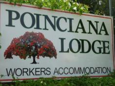  20 Poinciana St Kununurra WA 6743 This donga style accommodation complex has
 21 well appointed, air-conditioned rooms and is licensed for 34 people.
 Accommodation is a mixture of single, double and multiple rooms. 
Residents can choose the amount of privacy they require.The current 
owners have operated the facility for 7 years and pride themselves on 
the cleanliness, presentation and ambiance of the property. There is a 
separate storage room, office and an allocated room for a handyman's 
workshop. Off street parking in the carpark at the front of the 
buildings for 15 cars (Not all residents have their own vehicles) 
 
The communal amenities include: 
* 2 Kitchens with gas cooking 
* 1 Laundry with 2 coin operated washing machines 
* 7 Showers (Separate male and female showers) 
* 5 toilets 
* Lounge and dining room 
* Recreational area 
 
 
The rooms have deadlocks fitted and the property is fully fenced with a 
lockable gate for an additional night time security. The owners do live 
on site but that is personal choice and not a necessity. 
 
POINCIANA LODGE is situated in a quieter part of town and the owners can
 walk to the Coles Shopping Centre shops in 7 minutes. POINCIANA LODGE 
is also in close proximity to other township facilities. 
 
Accommodation of this type is usually in demand for short term and some 
not so short term stays for Kununurra or the surrounding areas. 
 
Financials and any other relevant information are available after the 
first inspection of the property. For any further information please 
call me for an appointment to view the property. 
 
   Read more at http://kardinya.ljhooker.com.au/1HHJQ#GZEkrR7IzRWLFX66.99 