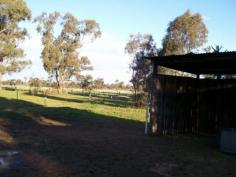  40 Racecourse Rd Berrigan NSW 2712 AREA: 5,083m2 
LOCATION: Opposite Berrigan Race Track under 2 km to centre of town on 
quiet sealed road, between Riverina H/way and Cobram Rd. only 30 minutes
 to the Mighty Murray River. 
 
ARE YOU LOOKING FOR A MANAGEABLE SMALL ACREAGE BLOCK CLOSE TO TOWN WITH A
 GREAT VIEW, LOVELY SHADE TREES, LEVEL AND EASY TO BUILD ON. HAVE YOUR 
OWN HORSE AND CHOOKS OR JUST LIVE IN A WONDERFUL PRIVATE SPOT AND BUILD 
YOUR DREAM HOME! THE VIEW WILL NEVER BE BUILT OUT, HOW GOOD IS THAT!!! 
 
THIS PRESENTS A RARE OPPORTUNITY FOR A HORSE TRAINER TO OWN A GREAT 
BLOCK OPPOSITE THE RACETRACK. BERRIGAN HAS MANY RACETRACKS WITHIN 2 
HOURS DRIVE, IT'S A WONDERFUL PLACE TO TRAIN HORSES WITH THE TRACK 
OPPOSITE AND NUMEROUS TRAILS TO VARY THEIR WORK AND ONLY 3 HOURS TO 
MELBOURNE. 
 
POWER AND WATER ARE AT THE BOUNDARY, NEW FENCING AND DRIVEWAY AT THE FRONT. 
THIS IS A RECENT SUBDIVISION BY MYSELF (THE AGENT) I AM NO LONGER 
TRAINING HORSES BUT CAN SAY WHAT A SUPER SPOT IT IS TO LIVE AND HAVE 
RETAINED MY HOME NEXT DOOR. 
 
SUBDIVIDED INTO 2 HORSE SAFE PADDOCKS WITH 3 HORSE SHELTERS. IT IS A 
UNIQUE CHANCE TO OWN A PLACE LIKE THIS, THEY ARE SO HARD TO FIND!!! 
. 
 VALUE AT $49,000 