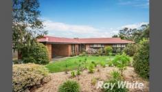  28 Talarno Ave Vermont South VIC 3133 Showcasing 4 generously proportioned bedrooms, a central family bathroom
 and ensuite, the well designed floor plan will be sure to impress. With
 a strong focus on indoor and outdoor entertaining and a combination of 
spacious living zones, the formal lounge room and dining domain are 
further enhanced with an abundance of warmth and natural light. A
 chef's dream, the designer kitchen features modern appliances that 
include a 5 burner gas cooktop and is overseen by a comfortable meals 
area, and leads out to a covered entertainment deck, contributing to the
 serene & peaceful ambience. Outside a resort style in ground pool 
is the perfect place to relax with family and friends and is surrounded 
by beautifully landscaped gardens. The rumpus/family room could
 also be utilised as a home office as it comes complete with its own 
entrance. Other appointments include central heating, ducted vacuuming, 
Tasmanian Oak floorboards, a double carport, a tastefully selected 
colour scheme throughout, a water tank, and the roof tiles have recently
 been re-pointed and resprayed. Located within the zone of the 
coveted Vermont Secondary College, it is close to Emmaus College, 
Terrara Park, Bellbird Dell Reserve, Livingstone Primary School, Forest 
Hill Chase, Morack Golf Course, Eastlink is easily accessible. Photo ID required at all open for inspections. 