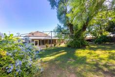  71 Catherine Street, Cessnock NSW 2325 It is rare to find such a big home that is set on an equally big block totaling 1,315sqm. This unique offering comprises of three spacious bedrooms, all with built-in robes, a large lounge room that leads to a separate study boasting French doors to a large L-shaped verandah, an eat-in timber kitchen and ideal for the growing family is a rear sun drenched 12m x 3m family/living room that adds warmth and charm to this cared for home. FOR SALE: $350,000 