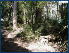  25 Banksia Rd Springbrook QLD 4213 This 708m2 block has a natural gently sloping contour and is in a very 
quiet area in the Springbrook National Park precinct where your visitors
 will be native paddy melons, parrots, kookaburras and more! From
 here you can walk to the Canyon Lookout and through the National Park 
trails to the waterfalls. Get fit, enjoy nature at its best and fresh 
mountain air at the same time! Local cafes are within a short 
walk and it is just a few minutes drive to the local primary school. 
Mudgeeraba & Robina Town Centre, railway & hospital take only 30
 minutes to reach by car. If you are looking to build a new home, minimal clearing will enable you to do so. Come and explore what may be the start of your new mountain lifestyle.   