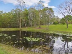  167 Tarata Rd Guanaba QLD 4210 $850,000 - $889,000 This property is a fresh representation of
 tranquil and rural Gold Coast living! Set on an impressive 3.2 
Hectares, a multitude of different opportunities await one lucky buyer. 
This property has distinct character and charm with precise quality in 
the build of this exquisite home, from the brick work to the vaulted 
high ceilings this home has an honest 'retreat feel'. The open plan 
living space is truly inspiring with the rock feature wall and the 
parquet flooring; natural light floods this space with a magnitude only 
seen in majestical properties. The kitchen/ dining is mutli functional 
with good cupboard space and bench space to suit. The standard 4 
bedrooms and 2 bathrooms also accompanies this purchase that includes a 
master en-suite and extremely large main bathroom. 
 
So many possibilites are in existence on this block, with 2 large dams 
and a large shed with power, one can set up a hydroponic farm, multiple 
vegetable patches or horse paddocks. At the front of the property 
there's also a Care Keepers cottage that acts as a second dwelling. This
 is a must inspect for all buyers seeking a special and multi functional
 property! 
 
Main House Features Include: 
Brick Construction 
Metal Roof 
2 Expansive living areas with AC 
4 bedrooms 
2 Bathrooms 
Septic Tank 
Water Tank 10,000 gallons 
Wrap around deck 
 
The Block 
Shed with Power 
2 x Dams with pumps 
Chook pen and hut 
Usable land 
Green Room 
Water Irrigation System 
2nd Dwelling 
 
The property is approximately only 7-10 minutes away from Nerang and 
Pacific Pines where you will find your major shopping centres, schools, 
M1 and local Cinema. This life style property is here to be SOLD and the
 owner is motivated to sell. 
 
 Read more at http://pacificpines.ljhooker.com.au/MH7GMK#f6KvycGLPixpHekp.99 