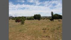  Lot 21 and 22 Majors Creek Road Braidwood NSW 2622 
 Quality Acreage Ready For Your Dream Home 
 Located only 5 minutes from 
Beautiful Braidwood on a sealed road is this quality 80 acre parcel of 
land offering stunning district views perfect for the horse enthusiast 
or cattle/ sheep farm alike. The Acreage 80 productive acres with very good pasture perfect for cattle, sheep or horses The block is fully fenced with some internal fencing Large dam + seasonal creek(approval for bore on property) For the horse enthusiast there is a sand pad ready for you to put up your round yard + arena Other Features Sealed road access 5 minutes from beautiful Braidwood Only an hour to Canberra, 45 minutes to the coast, 3 hours to Sydney and 2 hours to the snow School bus service at your doorstep Power at roadside 
 