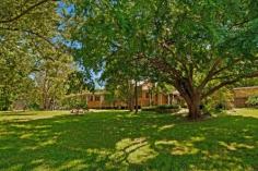  39 Railway Street Teralba NSW 2284 2 Green Acres 	 31 Have you ever dreamt of a country getaway? Would you love that location to be only 10 minutes from central Warners Bay? At 8517m2 this near level property at Teralba has more potential than we would ever be able to capture in a few sentences. The property runs alongside a charming little creek. It is the first time in over 70 years that this parcel of land has been available for purchase. With the original 3 bedroom house on the block you would be able to start enjoying residence at this magical location when your purchase is complete.  KEY Features - 8517m2 (2.10 ac) almost flat block with lush surrounds - 60m wide parcel provides versatile access and uses - Rear fenced paddock used for adjisting horses - Original functional residence  - Ducted air-conditioning & security system - Large kitchen overlooking the leafy surrounds - Large workshop/storage space    Inspection Times 1:00pm - 1:30pm  Saturday, 1 November 2014 Auction Times Saturday, 8 Nov 2014 - 1:30pm Land Size 8517 m2 