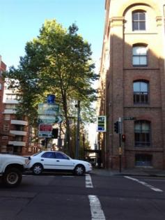 Lower Ground, 320 Harris Street, Pyrmont, NSW 2009 Two Security car spaces for sale-$40,000 each. These car spaces 
are just next to Darling Harbour. You can either leave them as an 
investment or use them yourself. It's currently leased to Secure Parking
 till 16 October 2015. Each car space is returning of $4,785 yearly. The council rates and Strata Levies are approximately $2,256 yearly. With
 limited car spaces available in the city and walking distance to the 
CBD, this purchase will be a great investment or just for your own use. Disclaimer:
 Whilst every care has been taken in respect of the information 
contained herein no warranty is given as to the accuracy and prospective
 purchasers should rely on their own inquires. 