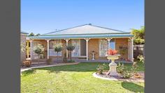  31 Mitchell Dr Leopold VIC 3224 Large Family Home (1164m2) Available for inspection by appointment this coming Saturday 25th October please call to book your attendance 0409 289 230. Positioned
 within an immaculate garden setting this four bedroom home would appeal
 to those looking for space and privacy while being close to schools 
shops and public transport. Featuring four bedrooms, two bathrooms and 
three separate living rooms. The kitchen is fully equipped with gas cook
 top, gas oven and dishwasher. The home has evaporative cooling ducted 
to every room and three gas rinnai space heaters to keep things 
comfortable all year round. The return bull nose veranda adds character 
and leads out to the covered alfresco and BBQ area. Other features 
include, large double garage with remote roller doors and extra lockup 
workshop, separate side access to rear of the property with second lock 
up colorbond garage and workshop, neat rear lawn area, fenced off veggie
 patch and 3 rain water tanks. This property is complimented by well 
established neighbouring quality homes and an appealing streetscape. 
Just minutes out of Geelong and many of the surf coast beaches and 
townships. 