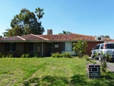  14 Tawny Way Thornlie WA 6108 4 or 5 Bedrooms This great family home comprises of 4 bedrooms plus study. Built approx 1975 on large 708sqm block. Quality porcelain tiles to living, lounge, kitchen and hallway. All bedrooms are a good size. Easy maintenance gardens with below ground pool. Great location, close to transport, shops and overlooks lovely park which is fantastic for the kids to play. This property would perfectly suit a large family. General Features Property Type: House Bedrooms: 4 Bathrooms: 1 Land Size: 708 m² (approx) Outdoor Features Garage Spaces: 1 
