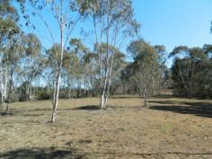 
 13, Nerriga Road 
 Nerriga 
 NSW 
 2622 Approximately 2.2 acres enjoying views across the road to farmland& distant mountains
 • Terrain Mixture of clear usable Land & lightly timber with Native Australian bush
 • Build your dream escape- the property has building entitlement
 • Private access
 • Power to boundary

 

 

Sale Details


$125,000 



Features
 General Features 
 
 Property Type: 
 Lifestyle 
 
 Bedrooms: 
 0 
 
 Bathrooms: 
 0 
 
 Land Size: 
 0.89ha (2.20 acres) (approx) 
 