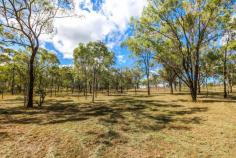  1a Cooks Road Hamilton Creek Qld 4714 This untouched block of land is fully fenced, town water & power..so create your DREAM HOME! 
- Golf club within walking distance from block. 
- Quiet and peaceful block with a seasonal creek 
- Easy access to this picturesque block 
- Amenities at your doorstep & great mountain views 
Need extra land - add the 5 acres at the back of the block = 10 acres to build that special home you have been dreaming! 